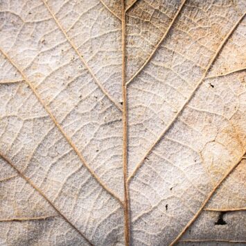 Zmiany od 1 stycznia 2024 r. w systemie świadczeń dla osób z niepełnosprawnościami oraz ich opiekunów