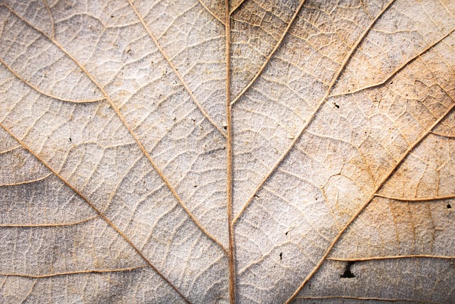 Zmiany od 1 stycznia 2024 r. w systemie świadczeń dla osób z niepełnosprawnościami oraz ich opiekunów