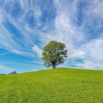 PROGRAM „CZYSTE POWIETRZE” – wydawanie zaświadczeń